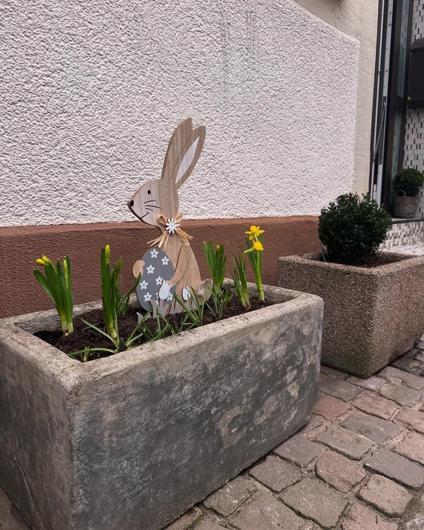 Am Berg Appartement Bad Bergzabern